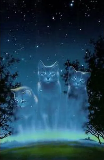 Quel est le cinquième clan ?