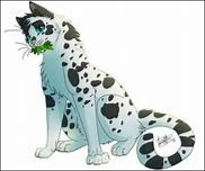 Quelle est ce guérisseur ?