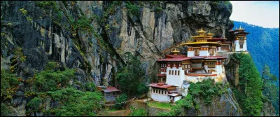 De quelle race était le chien de garde traditionnel des monastères dans un pays d'Asie ?