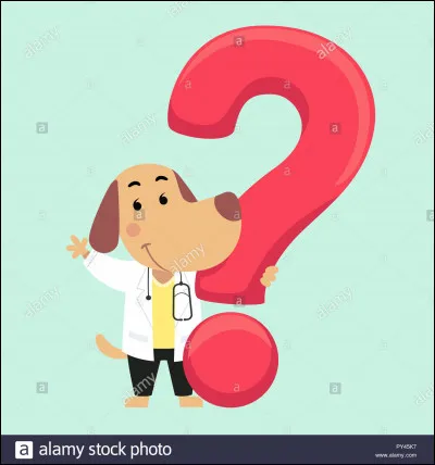 Où est le fila Brasileiro ?