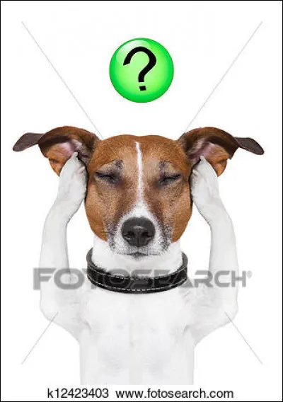 Sauras-tu trouver le chien de Canaan ?