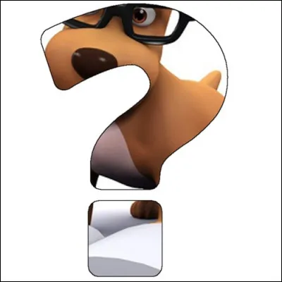 Où est le chien d'ours de Carélie ?