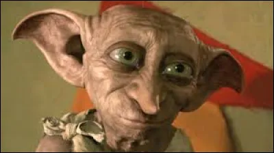 Dobby offre, un jour, à Harry (parce que c'est quand même lui le héros)...
