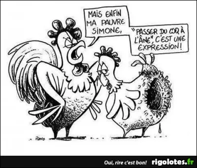 Pour faire passer tout ça, je vous propose un menu, pour quatre personnes, qui devrait ravir petits et grands : 1 poulet - 3 échalottes - 3 poivrons rouge, jaune, vert - 1 grosse boîte de tomates pelées - 2 cuillères à soupe d'huile d'olive - 5cl de vin blanc sec !