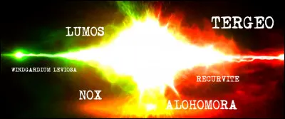 Le professeur Flitwick vient de dévoiler les conclusions de l'examen de la baguette de la victime après le "Prior Incantatum", qui révèle les derniers sortilèges utilisés.
Que peut-on dire sur les circonstances du décès ?