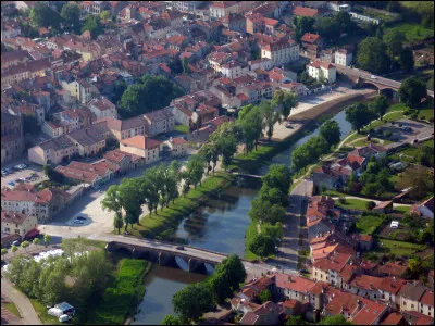 Ville de 5 000 habitants du département des Vosges connue comme "capitale" de la lutherie :