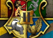 Test Qui pourrait tre ton/ta meilleur/e ami/e dans 'Harry Potter' ?
