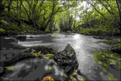 Les rivières de la Sorgues à Cornus et du Durzon à Nant ont un point commun. Lequel ?