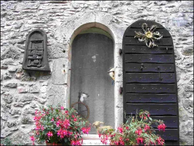 La cardabelle est un chardon sauvage emblème des causses. Pourquoi le retrouve-t-on parfois accroché sur les portes ?