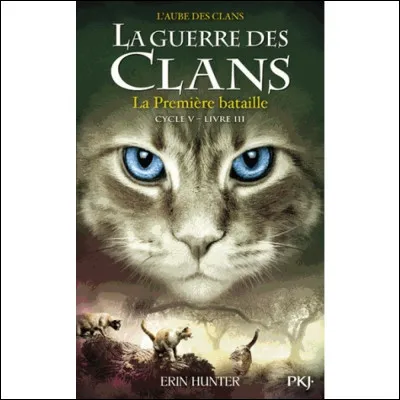 Quel est le caractère de Feuille de Lis ?