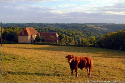 Parmi ces villages de Corr&egrave;ze, lequel nomme-t-on couramment "la perle du Limousin