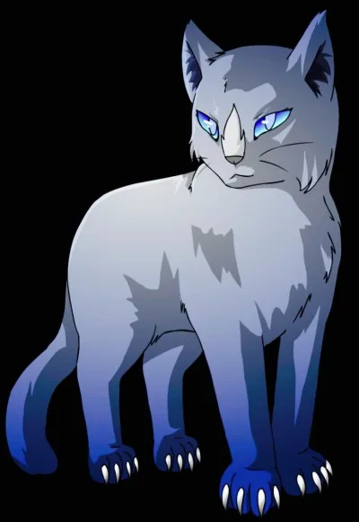 Qui est/sont son/ses mentor(s) ?