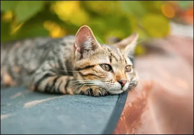 Et lui, que comprend-on dans son regard ?