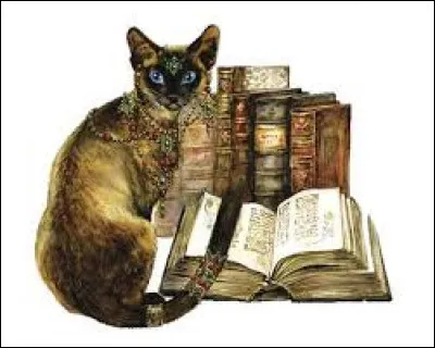 Jim Qwilleran est aidé dans ses enquêtes par un de ses deux chats siamois, comment s'appelle-t-il ?