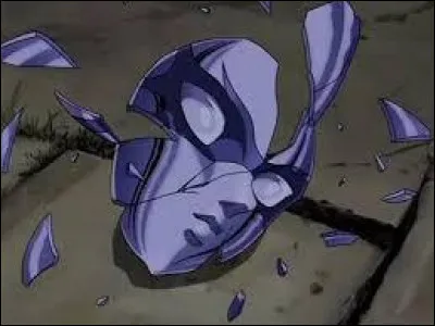 Quelle Femme-Chevalier n'a jamais porté de masque ?