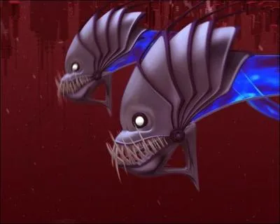 Quel est le poids d'un Kongre ?