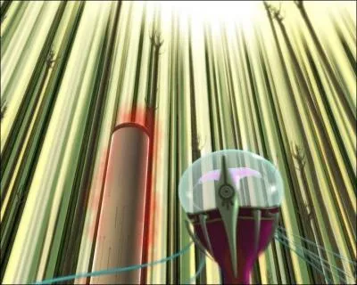 Quelle est la taille d'une Mduse ?