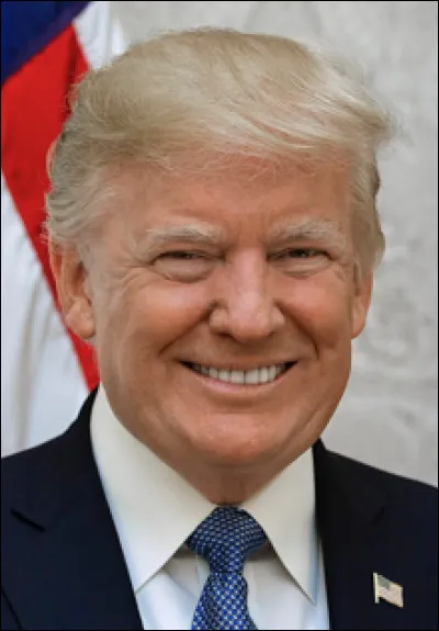Qui est ce Donald, pr&eacute;sident des &Eacute;tats-Unis depuis 2017 ?