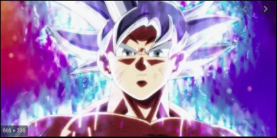 Quel est l'autre nom de l'Ultra Instinct ?