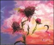 Qui se cache derrire cette pochette ?