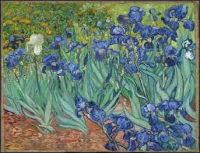 En quelle année Vincent van Gogh a-t-il réalisé cette peinture ?