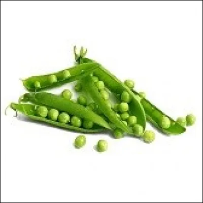 Les petits (...) sont riches en fibres.