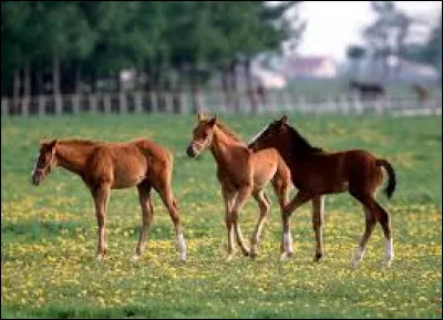 Qu'est-ce que le sevrage ?