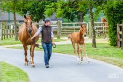 Le débourrage consiste à...