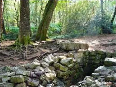 Qu'est-ce que c'est ?