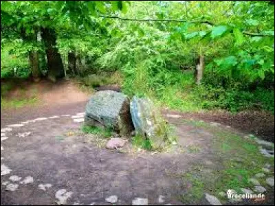 Et cette image représente...