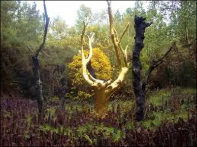 Très important... Qu'est-ce que c'est ?