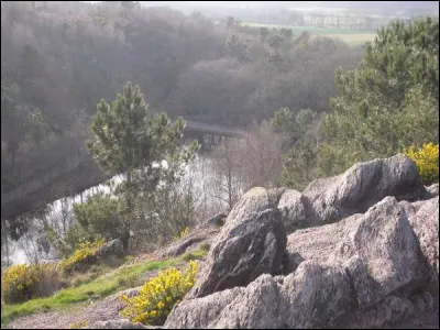 Et enfin, qu'est-ce que c'est ?