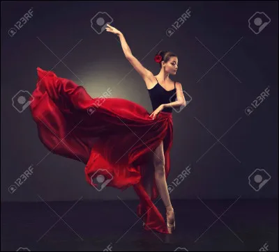 Qui chantait "Senorita" ?