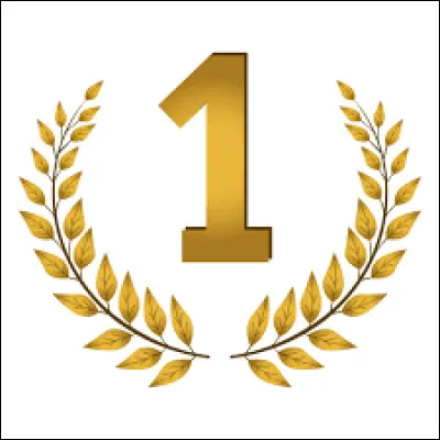 En quelle ann&eacute;e est sorti le premier kapla ?