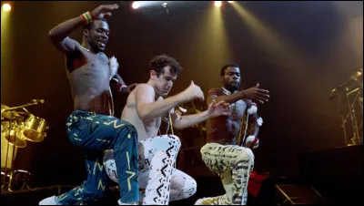 Quel chanteur surnommé le "Zoulou blanc", popularise la musique sud-africaine avec les titres "Scatterlings of Africa" et "Asimbonanga" ?