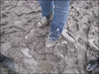 Pour qui Serge Gainsbourg a-t-il écrit la chanson ''La Gadoue'' initialement ?