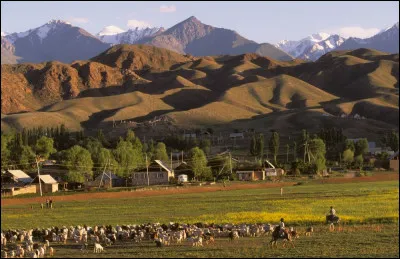 Quel pays n'est PAS limitrophe du Tadjikistan ?