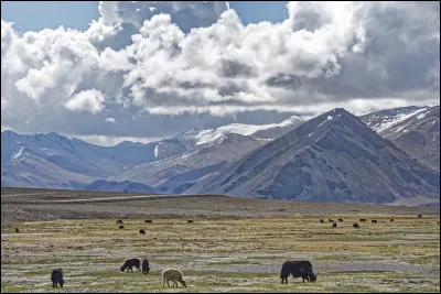 Quand fut son indépendance de l'URSS ?