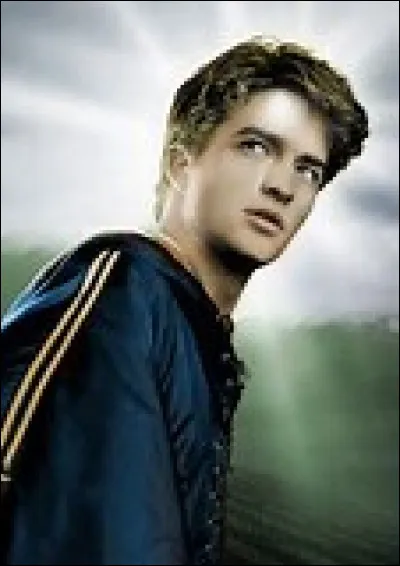 À quelle maison appartenait Cedric Diggory ?