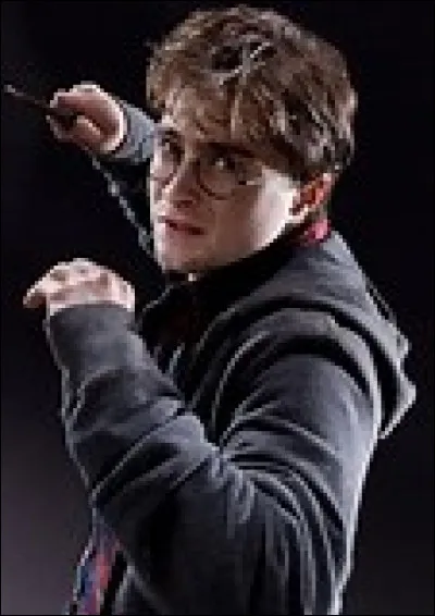 Qui est le parrain de Harry Potter ?