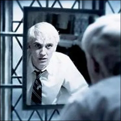 Dans "Harry Potter et la chambre des secrets", quel est le sort que lance Ron à Drago Malefoy ?