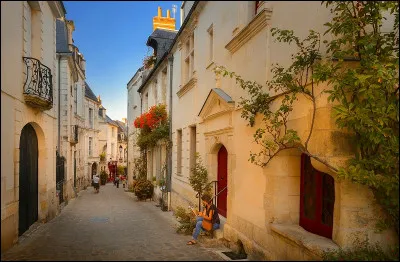 Quelle est l'expression datant de la Seconde Guerre mondiale en rapport avec la zone libre et la ligne de démarcation ?