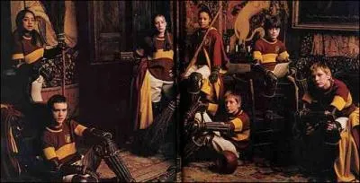 Comment s'appelle le sport pratiqu par Harry ?