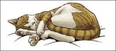 Ce manga de Kang Hyun-Jun raconte la vie trépidante d'un chat domestique, comment s'appelle la série ?