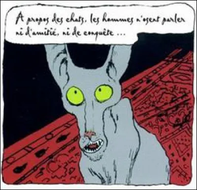 Pour quelle raison, le chat du rabbin parle-t-il ?