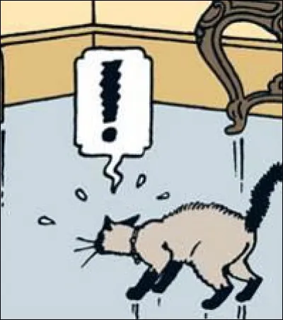 De quelle race est le chat de Moulinsart ?