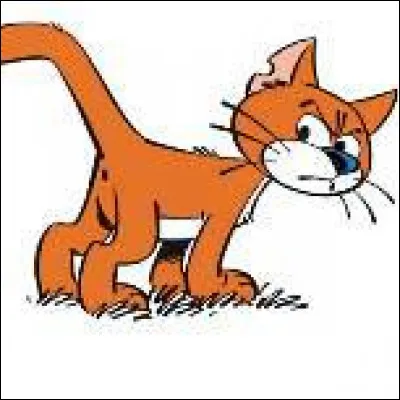 Si vous connaissez son nom, vous savez également dans quelle série ce chat apparait ?