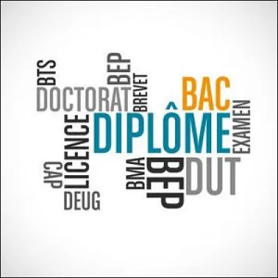 Parmi ces diplômes, lequel n'existe pas en coiffure ?