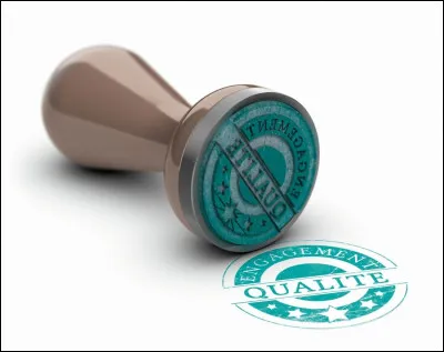 Quel est ta plus grande qualité ?