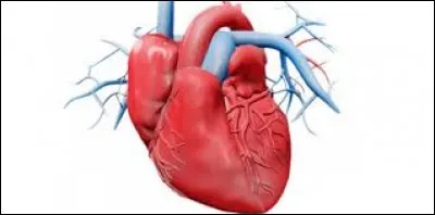 Quand "je fais du cardio"...